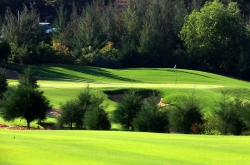 Hệ thống sân GOLF FLC - Điểm đến an toàn với nhiều giải pháp phòng chống dịch đồng bộ