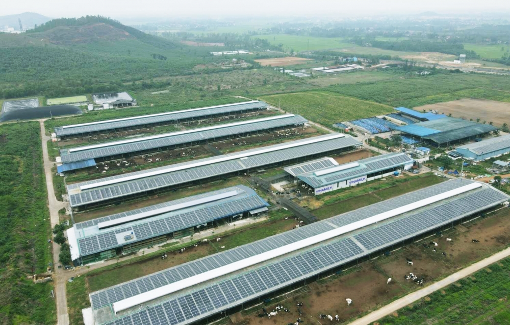 Vinamilk đầu tư hệ thống năng lượng mặt trời tại 12 trang trại bò sữa trên cả nước