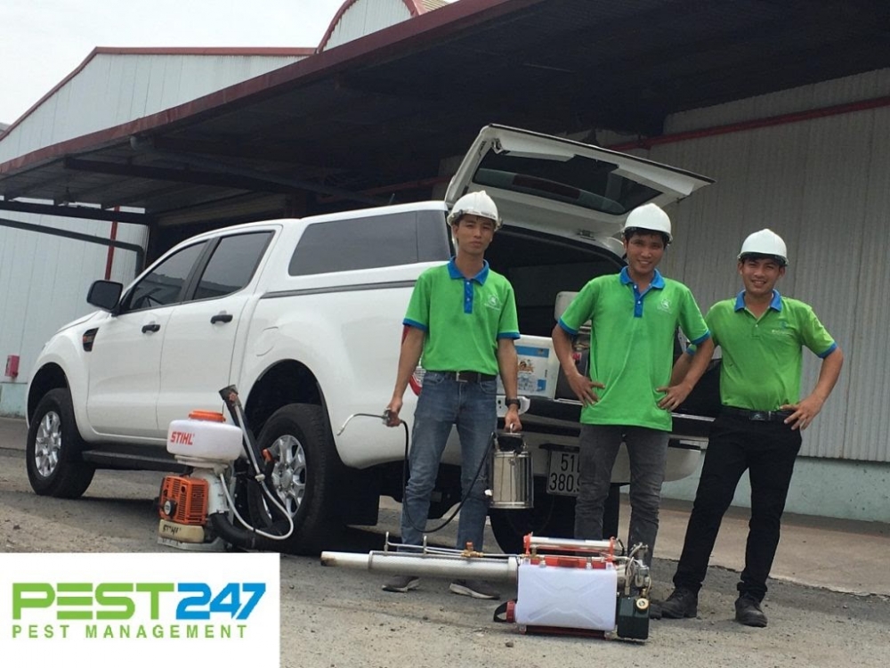 Khử trùng xanh - dịch vụ diệt chuột tận gốc chuyên nghiệp an toàn TPHCM