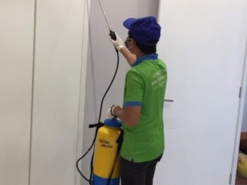 Khử trùng xanh - dịch vụ diệt chuột tận gốc chuyên nghiệp an toàn TPHCM