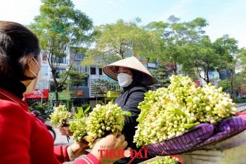 Có một Hà Nội mùa “bình thường mới”
