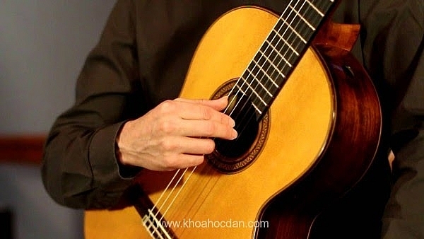 trung tam am nhac yam noi day dan guitar tot nhat cua ban