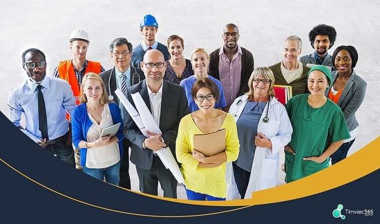 Timviec365.com.vn và hành trình kết nối ứng viên với việc làm báo chí truyền hình