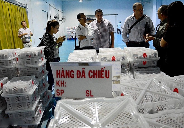 Thủ tục nhập khẩu một lô hàng từ nước ngoài về Việt Nam gồm những công đoạn nào? quy trinh thu tuc nhap khau mot lo hang tu nuoc ngoai ve viet nam