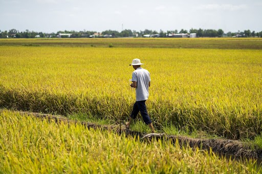 “Hái ra tiền” nhờ phát triển máy bay nông nghiệp, nhân viên kinh doanh đổi đời