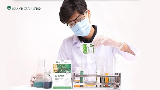 Chuyên gia dinh dưỡng khuyến cáo: Cốm trí não G-Brain tốt cho nhóm trẻ nào?