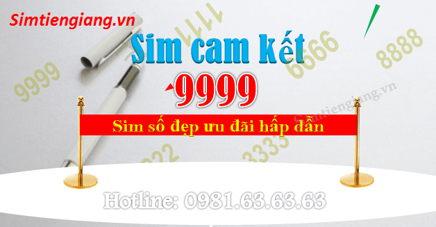 Mua sim tứ quý hút tài chiêu lộc - chọn mua ở đâu rẻ uy tín