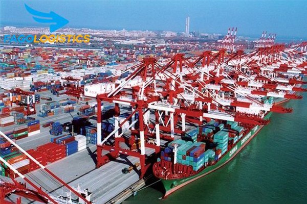 FagoLogistics cung cấp dịch vụ vận tải đường biển nhanh chóng, tin cậy FagoLogistics cung cấp dịch vụ vận tải đường biển nhanh chóng, tin cậy