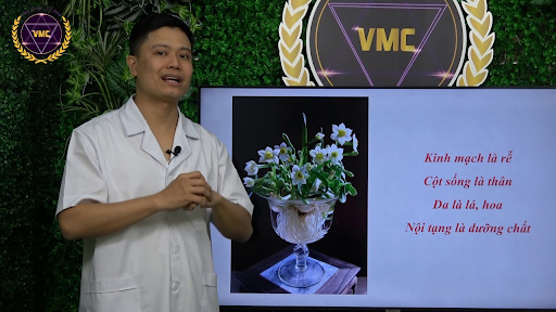 Trung tâm VMC Việt Nam đào tạo khóa học trị liệu xoa bóp giảm đau khớp Trung tâm VMC Việt Nam đào tạo khóa học trị liệu xoa bóp giảm đau khớp