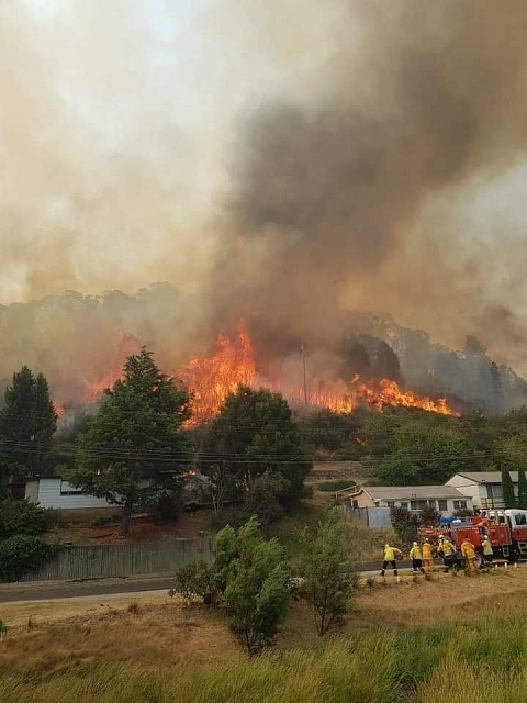 nhung hinh anh dau thuong trong tham hoa chay rung o australia