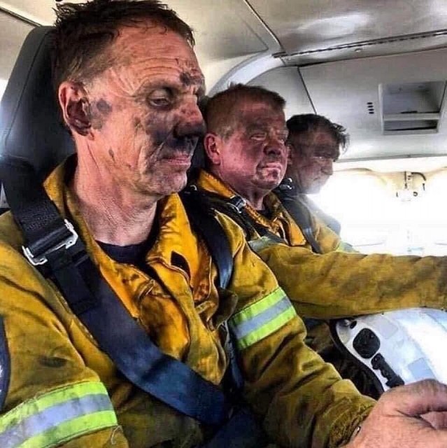 nhung hinh anh dau thuong trong tham hoa chay rung o australia