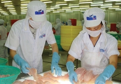 ford rot them 82 trieu usd mo rong nha may tai hai duong