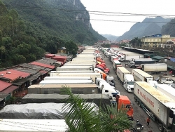 xuat khau hau covid 19 va co hoi but pha tu hiep dinh evfta