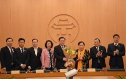 ha noi sap nhap thon to dan pho cua 11 quan huyen