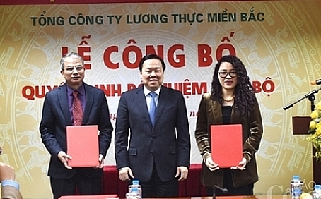 bo nhiem lanh dao tap doan hoa chat viet nam tong cong ty luong thuc mien bac