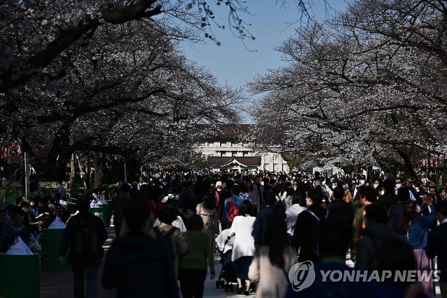 Giữa dịch COVID-19, hàng nghìn người dân Nhật Bản vẫn nô nức đi ngắm hoa anh đào giua dich covid 19 hang nghin nguoi dan nhat ban van no nuc di ngam hoa anh dao