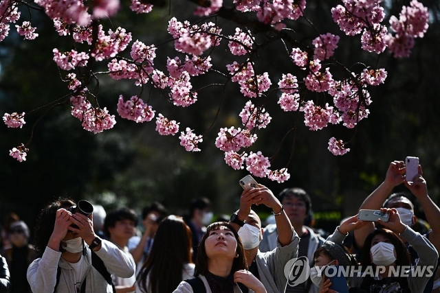 Giữa dịch COVID-19, hàng nghìn người dân Nhật Bản vẫn nô nức đi ngắm hoa anh đào giua dich covid 19 hang nghin nguoi dan nhat ban van no nuc di ngam hoa anh dao