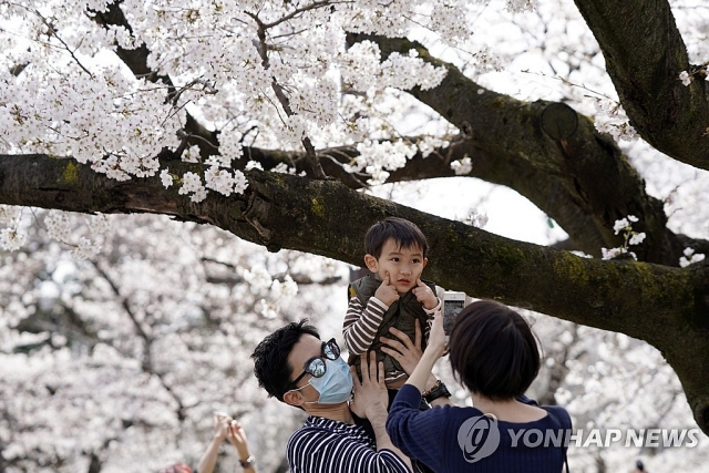 Giữa dịch COVID-19, hàng nghìn người dân Nhật Bản vẫn nô nức đi ngắm hoa anh đào giua dich covid 19 hang nghin nguoi dan nhat ban van no nuc di ngam hoa anh dao