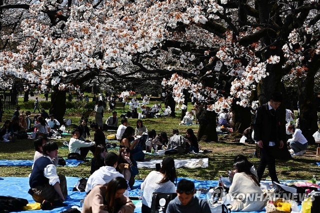 Giữa dịch COVID-19, hàng nghìn người dân Nhật Bản vẫn nô nức đi ngắm hoa anh đào giua dich covid 19 hang nghin nguoi dan nhat ban van no nuc di ngam hoa anh dao