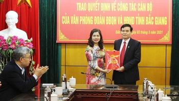 Bổ nhiệm nhiều lãnh đạo mới tại Bắc Ninh, Bắc Giang và Hậu Giang