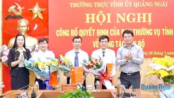 Hà Nội, Cần Thơ và Quảng Ngãi bổ nhiệm hàng loạt nhân sự mới