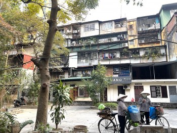 Hà Nội: nghiên cứu, hoàn thiện các quy định về cải tạo, xây dựng lại nhà chung cư