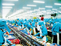 Doanh nghiệp gặp khó vì COVID-19, hàng triệu người lao động bị ảnh hưởng