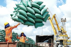 thanh tra chinh phu thanh tra hoat dong xuat khau gao tu dau nam 2020