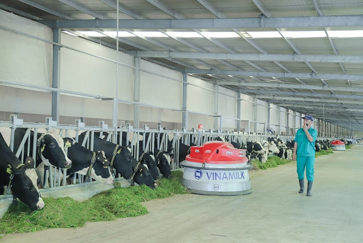 Vinamilk nhiều năm liền là thương hiệu sữa số 1 Việt Nam trong ngành hàng sữa nước