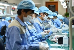 Hơn 90 nghìn doanh nghiệp thành lập mới từ đầu năm 2019