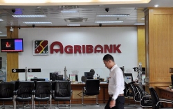 Agribank cổ phần hoá chậm, 5/6 công ty con thua lỗ
