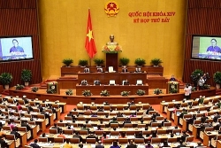 mot so doanh nghiep fdi quay vong uu dai dau tu chuyen gia tron thue