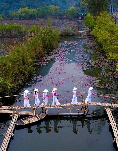Nhiếp ảnh gia Việt Nam thắng giải ảnh quốc tế #Spring2020 nhiep anh gia viet nam thang giai anh quoc te spring2020