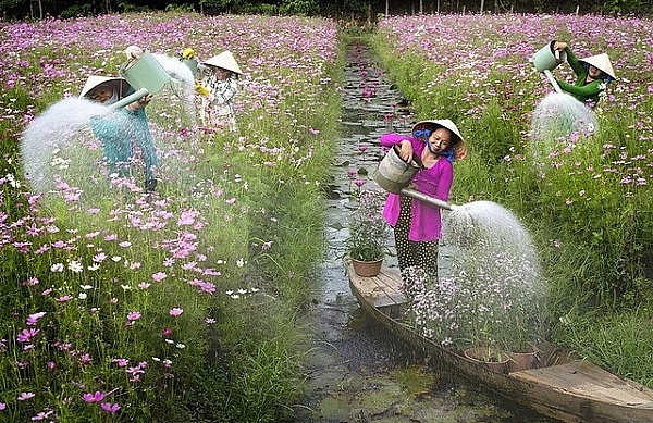 Nhiếp ảnh gia Việt Nam thắng giải ảnh quốc tế #Spring2020 nhiep anh gia viet nam thang giai anh quoc te spring2020