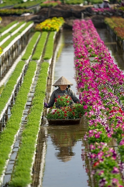 Nhiếp ảnh gia Việt Nam thắng giải ảnh quốc tế #Spring2020 nhiep anh gia viet nam thang giai anh quoc te spring2020