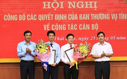 hai phong thai binh dieu dong bo nhiem lanh dao moi 109219