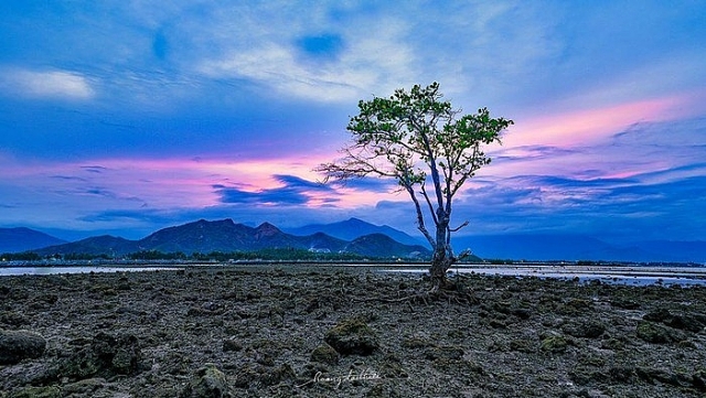 cau chuyen thu vi ve buc anh ong gia va bien ca lot top anh dai duong dep nhat cua national geographic
