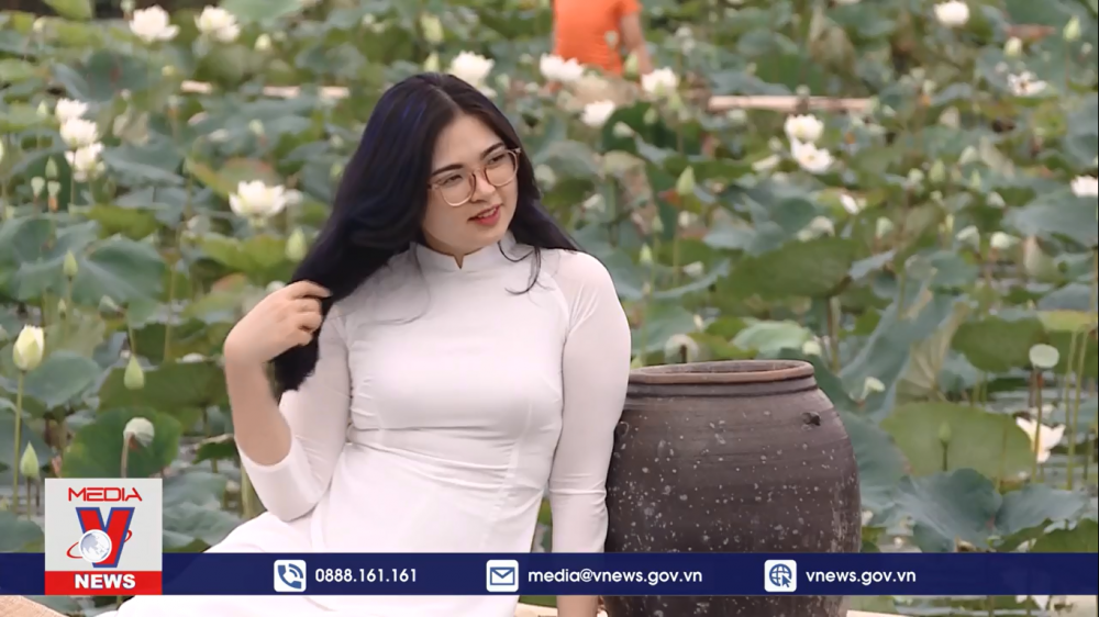 dam sen trang ngoai thanh ha noi khoe sac hut khach