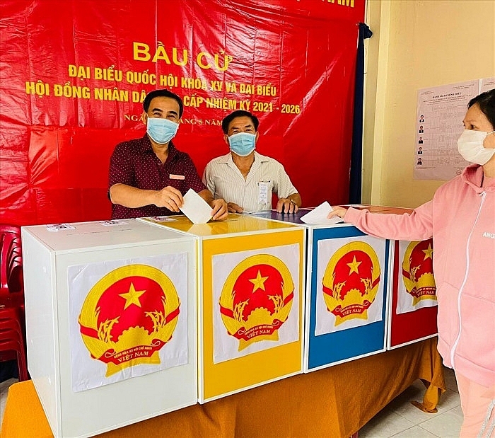 Xuân Bắc, Quyền Linh, Hoa hậu Tiểu Vy... và dàn sao Việt háo hức đi bầu cử