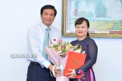 tan pho chanh van phong trung uong dang nguyen hai ninh la ai