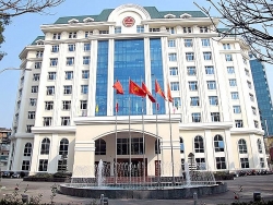 Tổng cục Thuế bổ nhiệm 141 lãnh đạo khi chưa đủ tiêu chuẩn