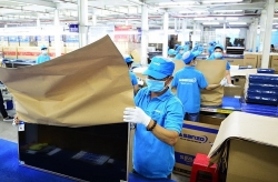 ASANZO: "Nội địa hoá" bằng... thùng xốp, nhân công