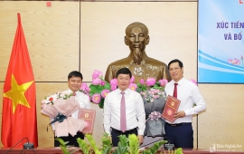 tin bo nhiem lanh dao moi tai tuyen quang nghe an