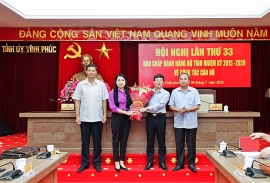 Tân Phó Bí thư Tỉnh uỷ Vĩnh Phúc Lê Duy Thành là ai?