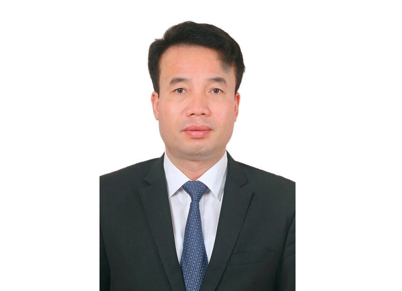 5623 tgd bhxh vn cjbj