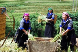 Giảm tỷ lệ nghèo xuống dưới 3% ngay trong năm 2020