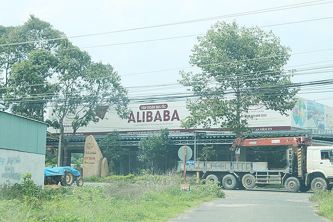 pho thu tuong chi dao xu ly nghiem vu dia oc alibaba