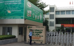Cảnh cáo Phó Giám đốc Sở Nông nghiệp TP.HCM vì sai phạm ở SAGRI