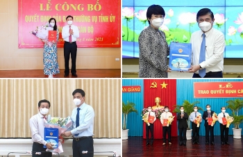 loat nhan su lanh dao moi duoc bo nhiem tai tphcm an giang nghe an