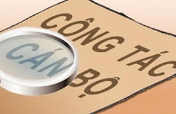 Thu hồi hàng trăm quyết định bổ nhiệm, tuyển dụng cán bộ